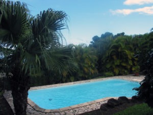 blog2_piscine